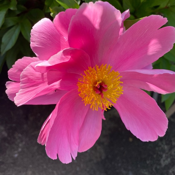 I ❤️ Offers❣️ - Picture 10 of 14